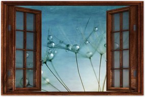 Poszterek 120x80 Pitypang Virág Virágok