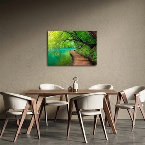 Kép - Plitvicei-tavak (70x50 cm)