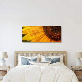 Kép - Napraforgók (120x50 cm)
