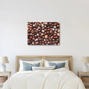 Üveg kép - Érett gesztenye (70x50 cm)