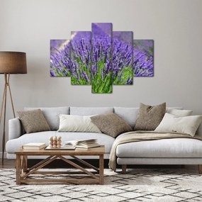 Kép - levandula (150x105 cm)