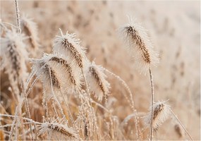 Fotótapéta Flizelin Dekoratív Hálószoba Téli tájkép 208x146 Ragasztó