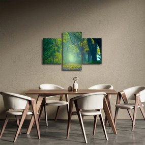 Fákkal szegélyezett út képe (90x60 cm)