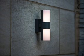 Kültéri Fali Lámpa Szürke Cyra LUTEC 5198101118