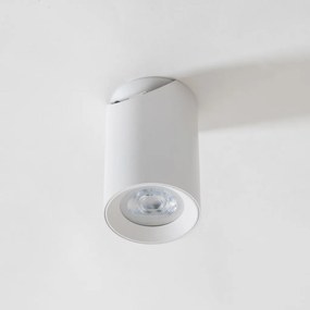 Zuma Line TORE TLS006-WH mennyezeti lámpa 1x35W/GU10 IP20