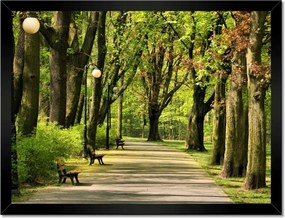 Poszterek keretben 40x30 Citadella park