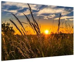 A mező naplementekor képe (90x60 cm)