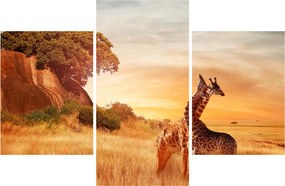 Kép - Zsiráfok Afrikában (90x60 cm)