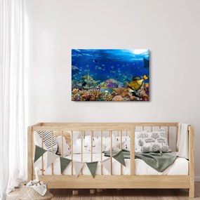 Kép - Óceán (90x60 cm)