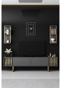 TV szekrény Gold Line - Anthracite, Black
