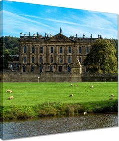 Vászonkép 40x40 Bárányok a gyepen