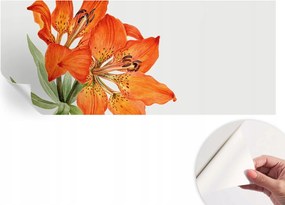 Dekoratív Öntapadós Tapéta Divatos Minták Narancs liliom 250x104 cm