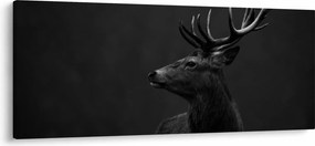 Kép - Egy szarvas portréja (120x50 cm)