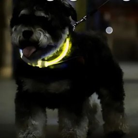 LED-es lámpa nyakörv - állítható Purlov 24200