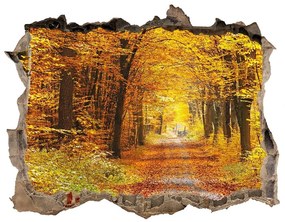 3d lyuk fal dekoráció Erdő ősszel nd-k-86844242