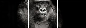 Kép - Gorilla (órával) (90x30 cm)