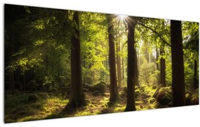 Egy álmodozó erdő képe (120x50 cm)
