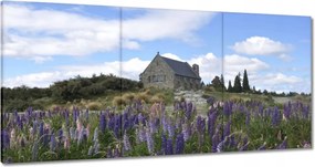 Vászonkép 120x60 Lila virágok domb