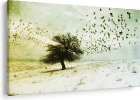 Kép - Festett madárállomány (90x60 cm)