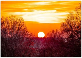 Poszterek 100x70 Kilátás Tájkép