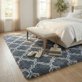 Shaggy szőnyeg Decor 100x150 Ezüst Lantern