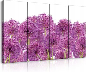 Vászonkép 120x80 Alium hagyma dísz lila gömb alakú virágzat tavasz nyár
