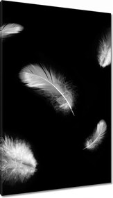 Vászonkép 80x120 Finom toll doboz