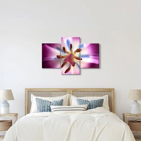 Kép - Tulipán virág részletesen (90x60 cm)