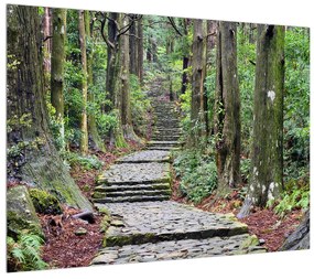 Kő lépcsők az erdőben (70x50 cm)