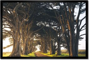 Poszterek keretben 60x40 Tájkép Látvány