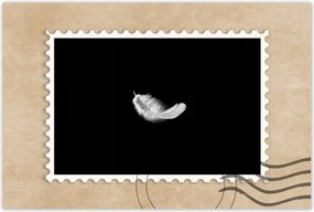 Poszter 60x40 Bolyhos fehér tolltartó