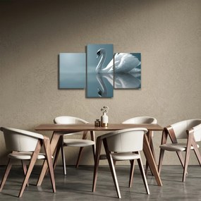 Kép - Fehér hattyú (90x60 cm)