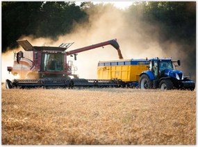 Poszterek 135x100 Aratás Kombájn Traktor