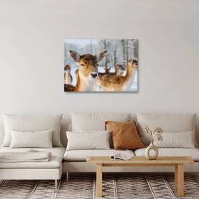 Kép - Szarvas (70x50 cm)