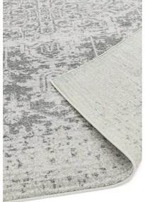Szürke szőnyeg 160x230 cm Nova – Asiatic Carpets