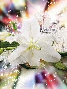 Fotótapéta flizelina Fehér liliom Elegancia Tisztaság és nyugalom 206x275 +ragasztó