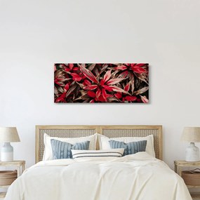 Piros szirmok képe (120x50 cm)
