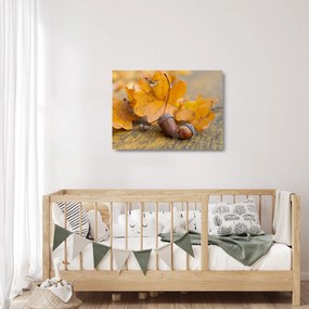 Üveg kép - Őszi makk (70x50 cm)
