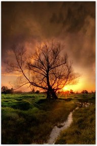 Poszterek 80x120 Tölgy a croissant-ban Nyugat