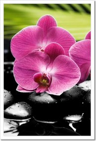 Poszterek keretben 40x60 Spa Kövek és leanderek