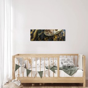 Kép - Piton (órával) (90x30 cm)