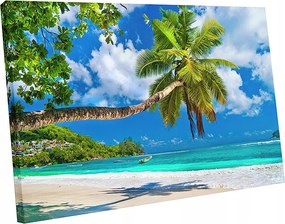 Vászonkép tengerpart tenger pálma pálmafák 120x80