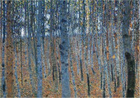 Dekoratív Fotótapéta Hálószobába Nyírerdő 312x219 Ragasztó