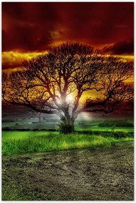 Poszterek 60x90 Varázslatos fa tájkép