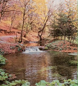 Poszter 605-6G, Őszi erdő patakkal (184x 198 cm)