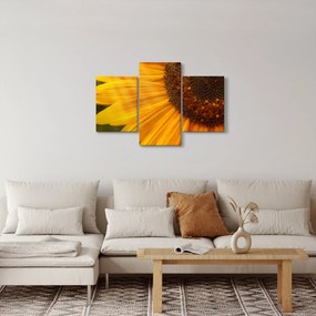 Kép - Napraforgók (90x60 cm)
