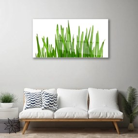Üvegkép Grass A Wall 125x50 cm