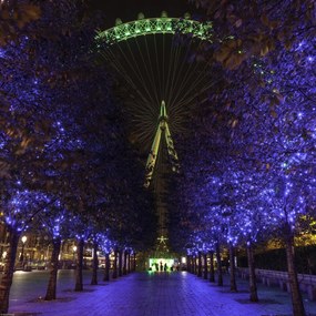 Poszter 40x40cm Fák vezetnek az ezredforduló köréhez, Assaf Frank