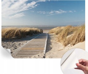 Modern öntapadós fotótapéta Mosható tengeri ösvény 312x219 cm