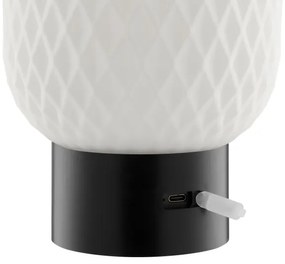 Brilliant - LED RGB dimmelhető tölthető érintésvezérelt asztali lámpa SARASTRO LED/3W/5V 2700K IP44